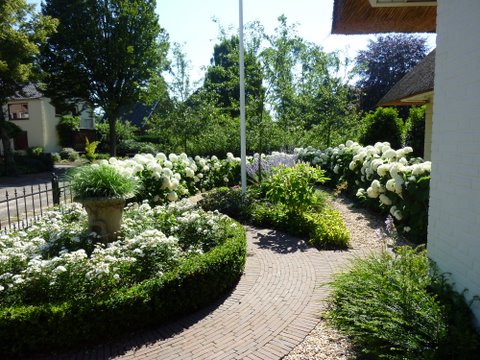 Hoveniersbedrijf G.Weultjes Bloemrijke tuin Vaassen Buxus haagjes.jpg